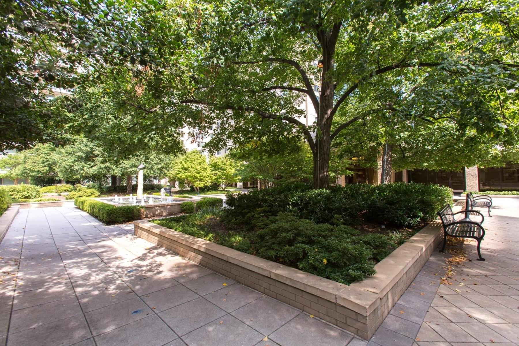 Spacious 2 Bedrooms Apt @Crystal City With Gym Arlington Exterior foto